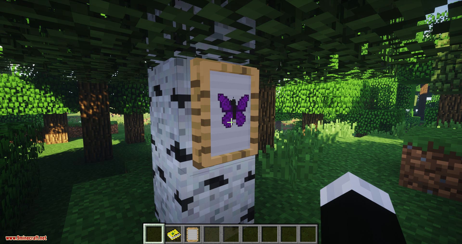 Butterflys mod for minecraft 07