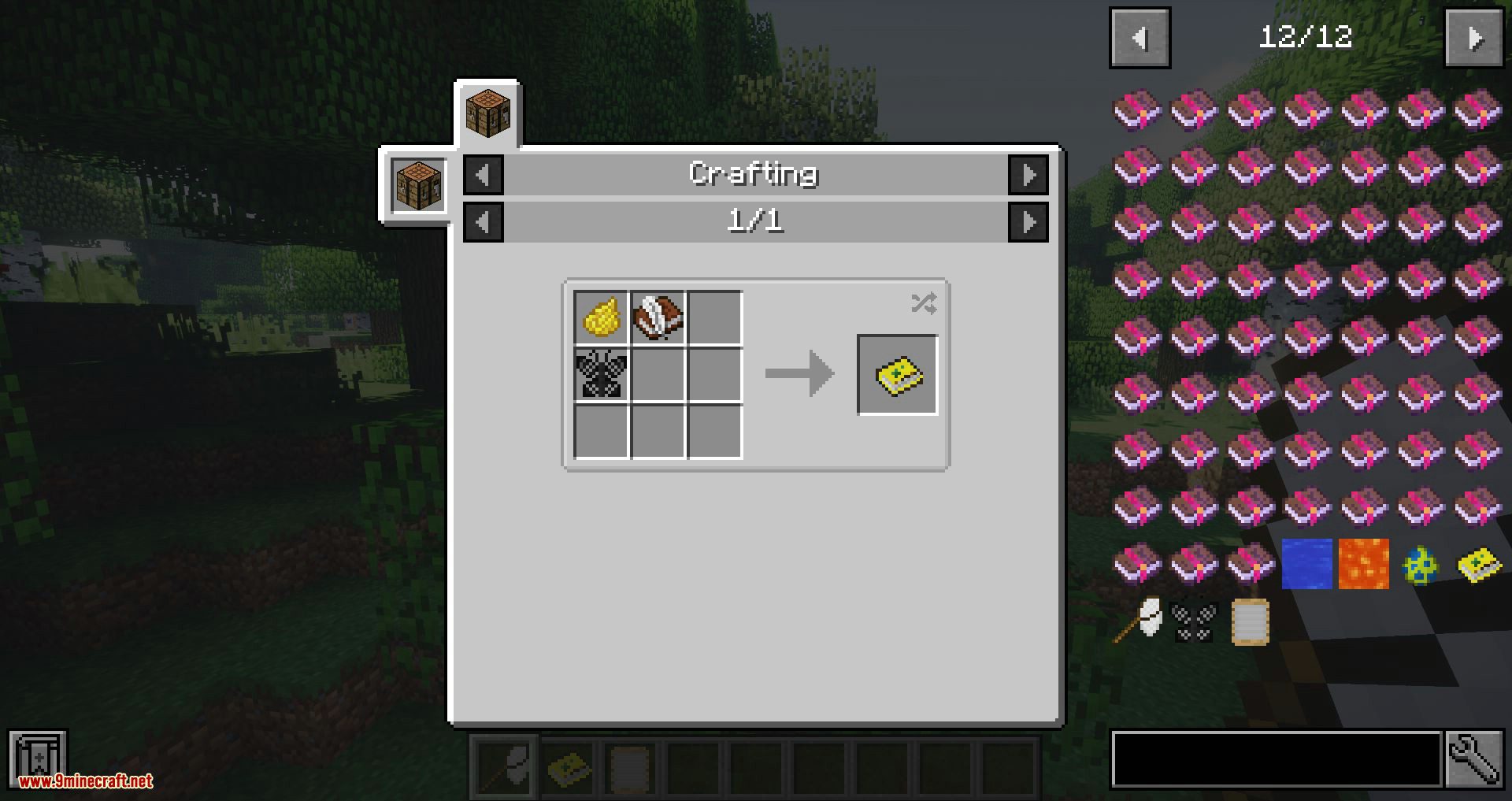 Butterflys mod for minecraft 12