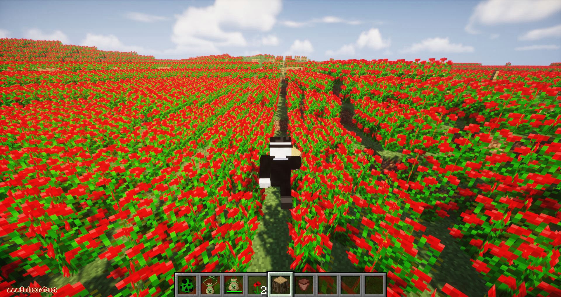 FloriCraft mod for minecraft 14