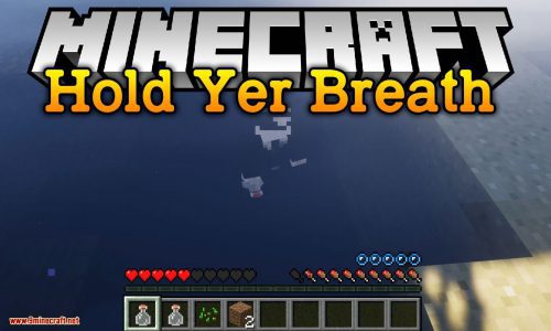 Hold Yer Breath mod for minecraft logo