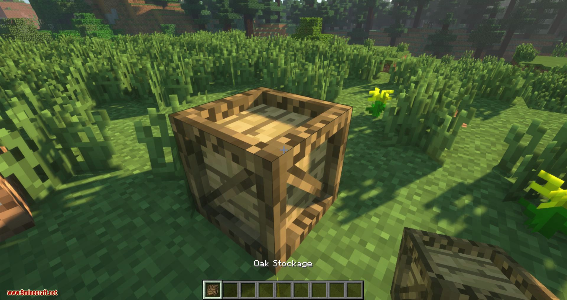 Lots of Stuff mod for minecraft 01
