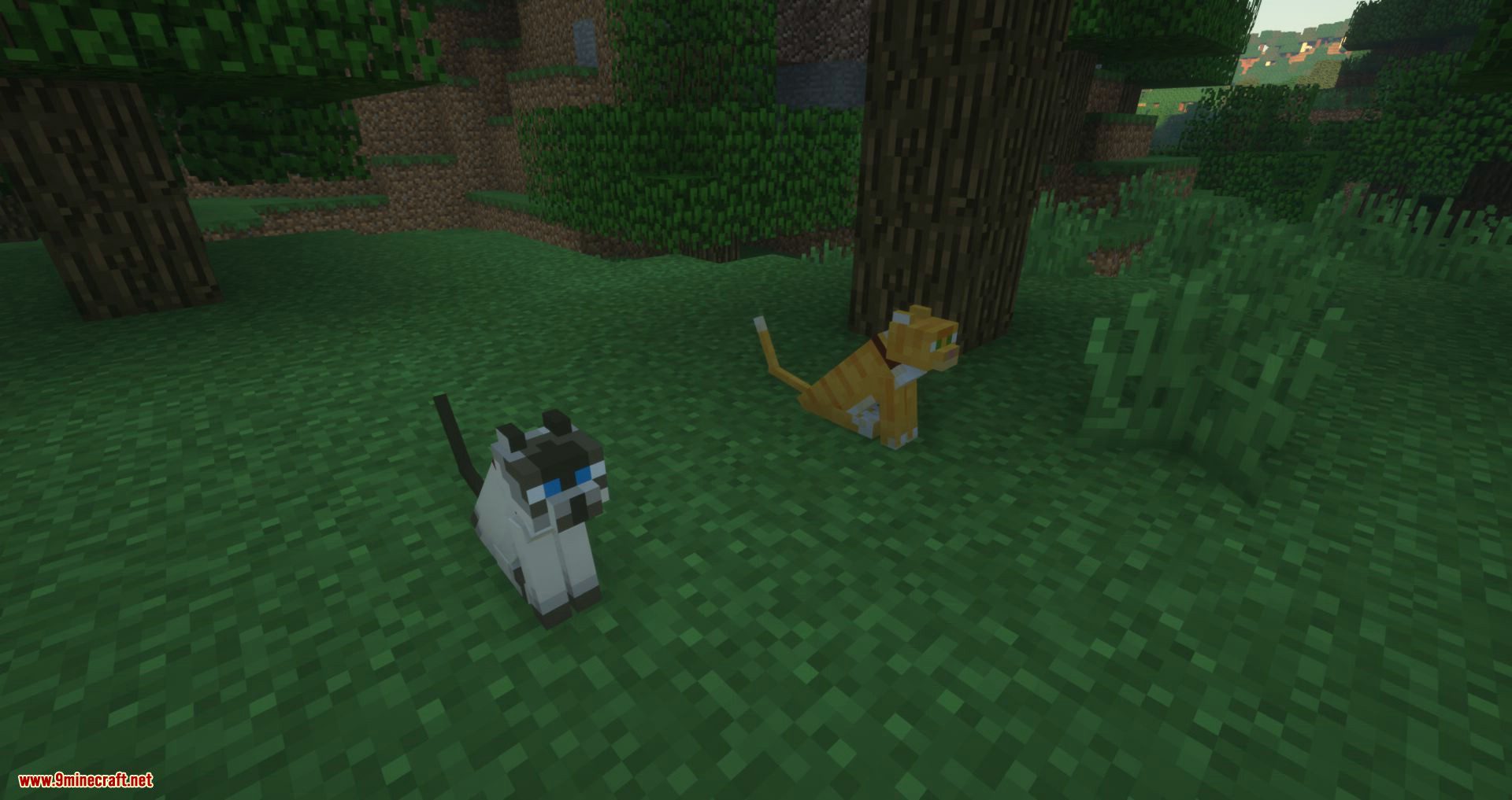 Not Enough Cats mod for minecraft 01