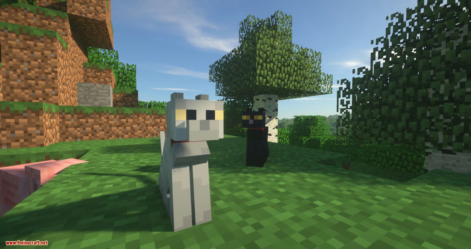 Not Enough Cats mod for minecraft 02