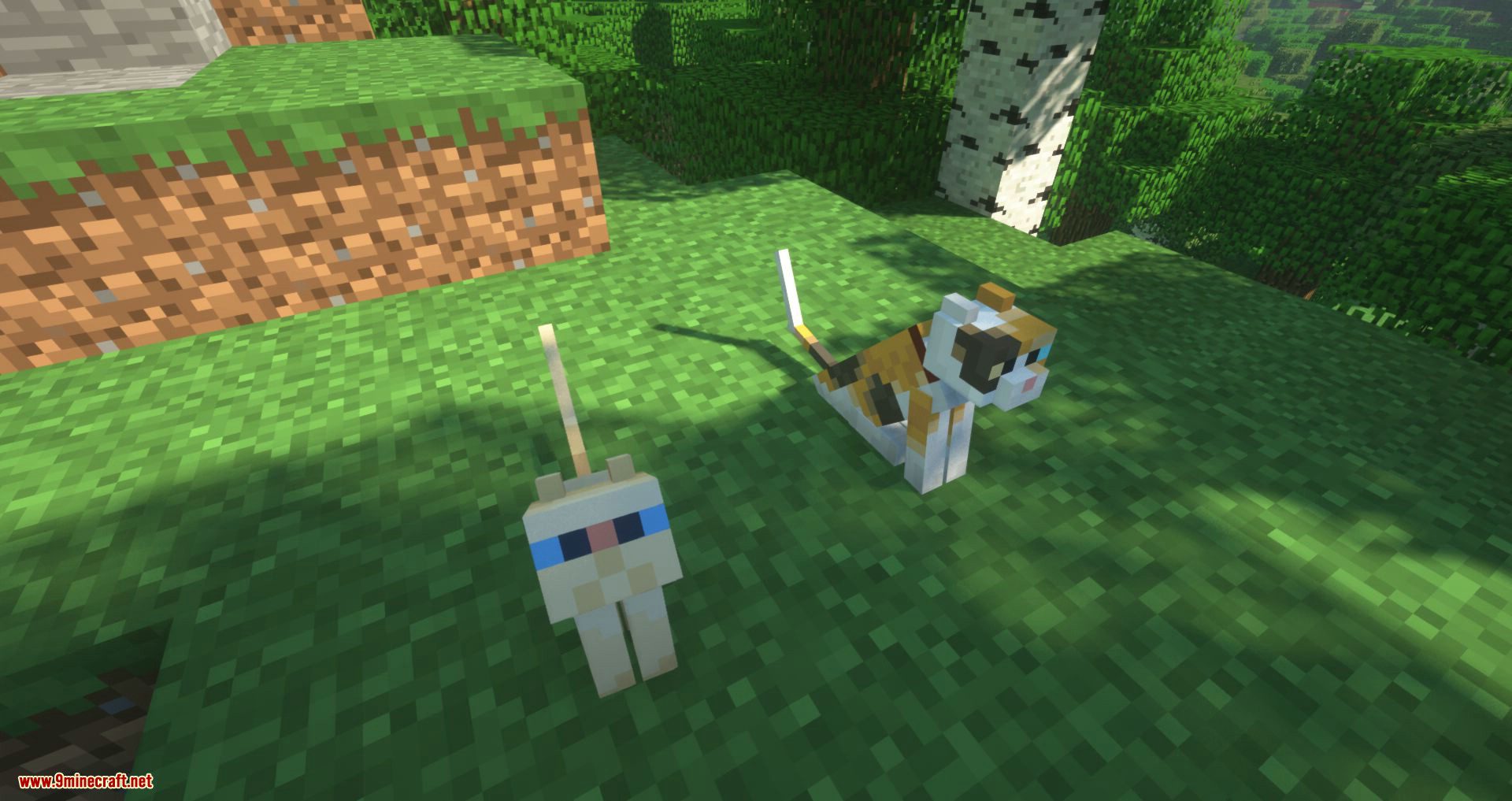 Not Enough Cats mod for minecraft 03