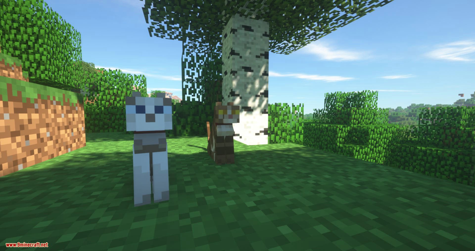 Not Enough Cats mod for minecraft 04