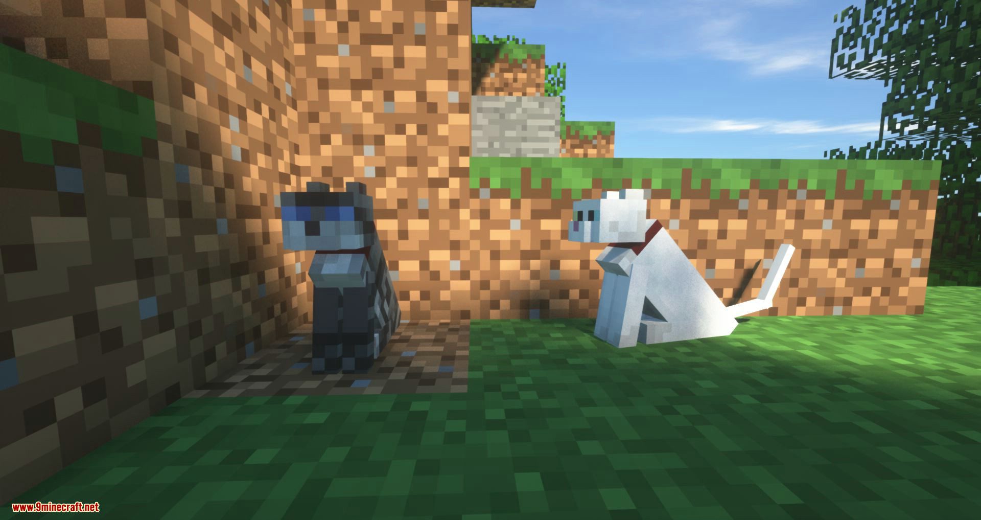 Not Enough Cats mod 1.12.2 Minecraft cat, Cats, Types of cats