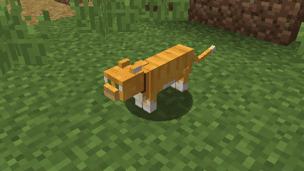 Not Enough Cats mod for minecraft 24