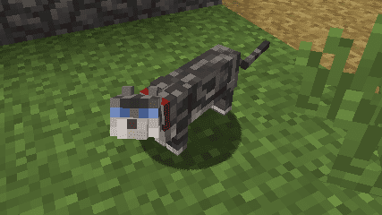 Not Enough Cats mod for minecraft 33