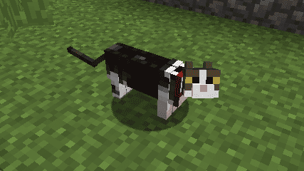 Not Enough Cats mod for minecraft 35