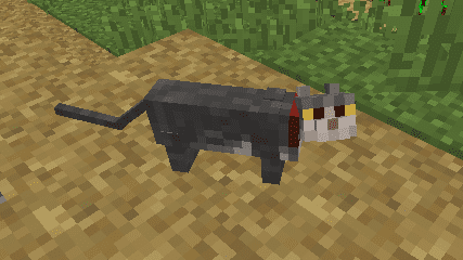 Not Enough Cats mod for minecraft 36