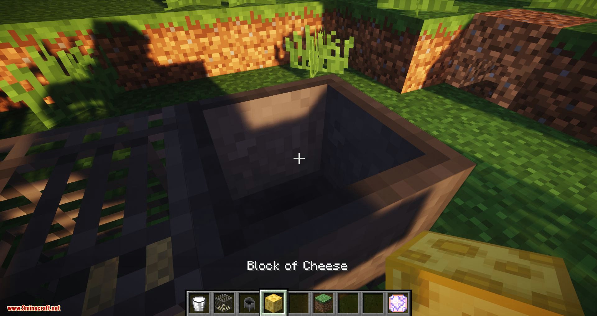 Rats mod for minecraft 21