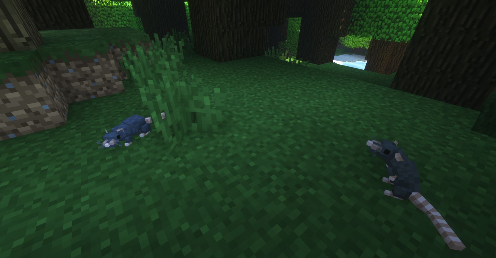 Rats mod for minecraft 29