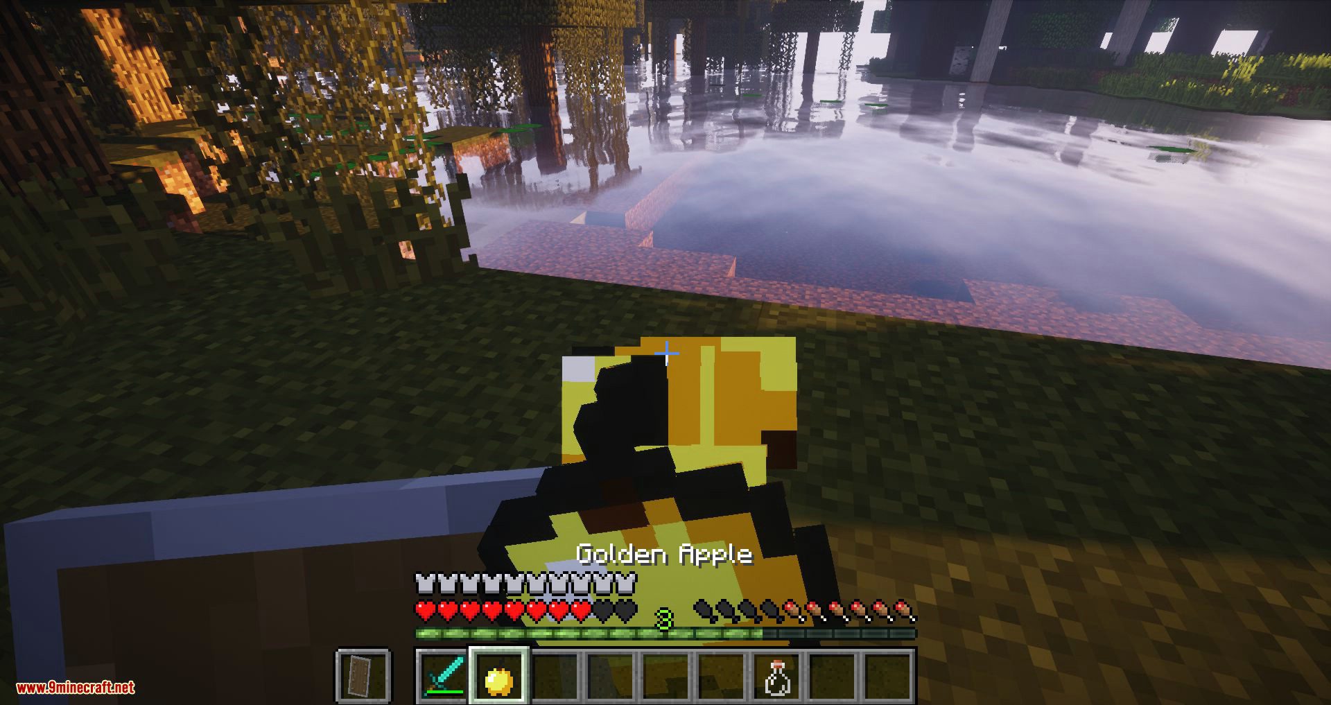 Regen Control mod for minecraft 08