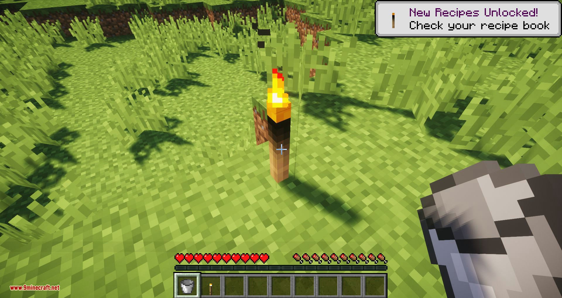 Burning Torch mod for minecraft 11