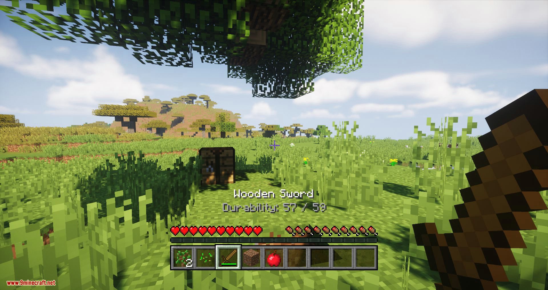 Console HUD mod for minecraft 05