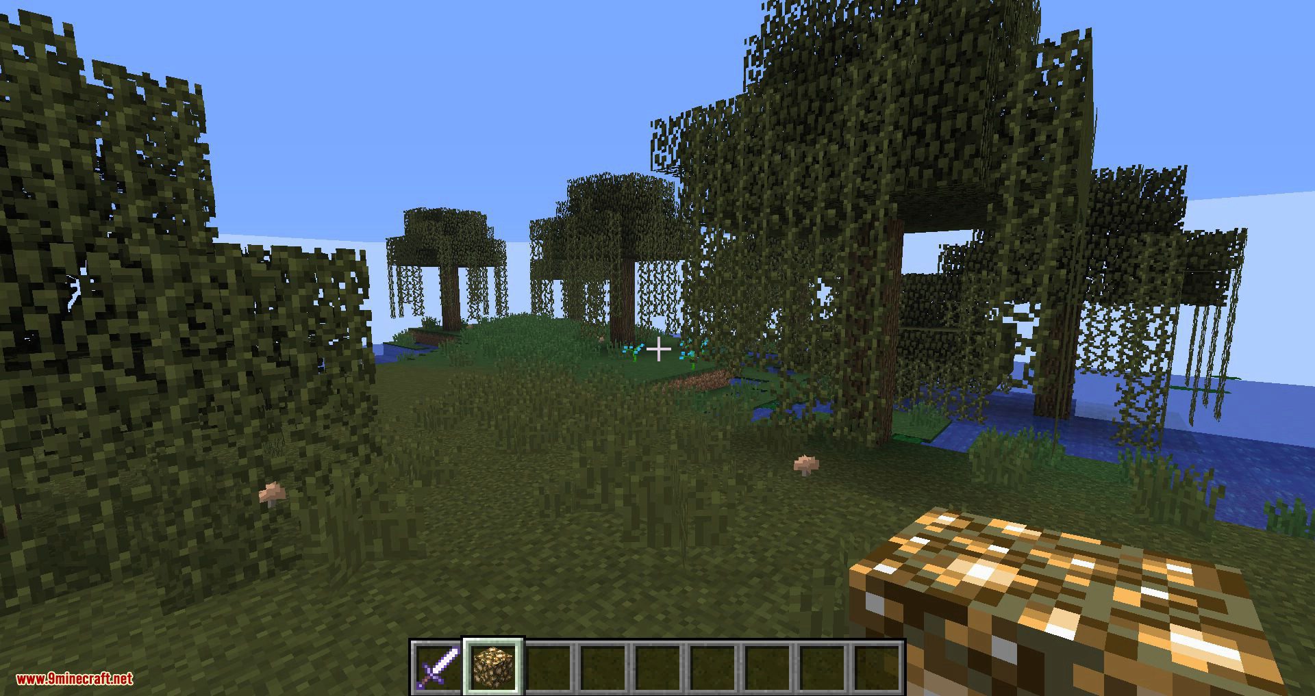 NoFog mod for minecraft 08