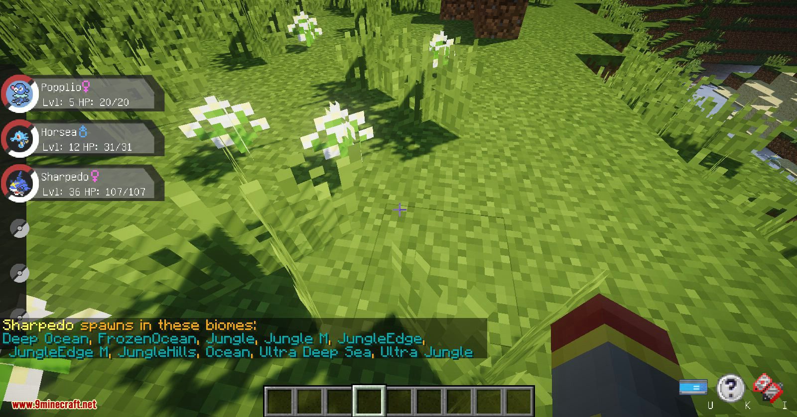 Pixelmon Extras mod for Minecraft (7)