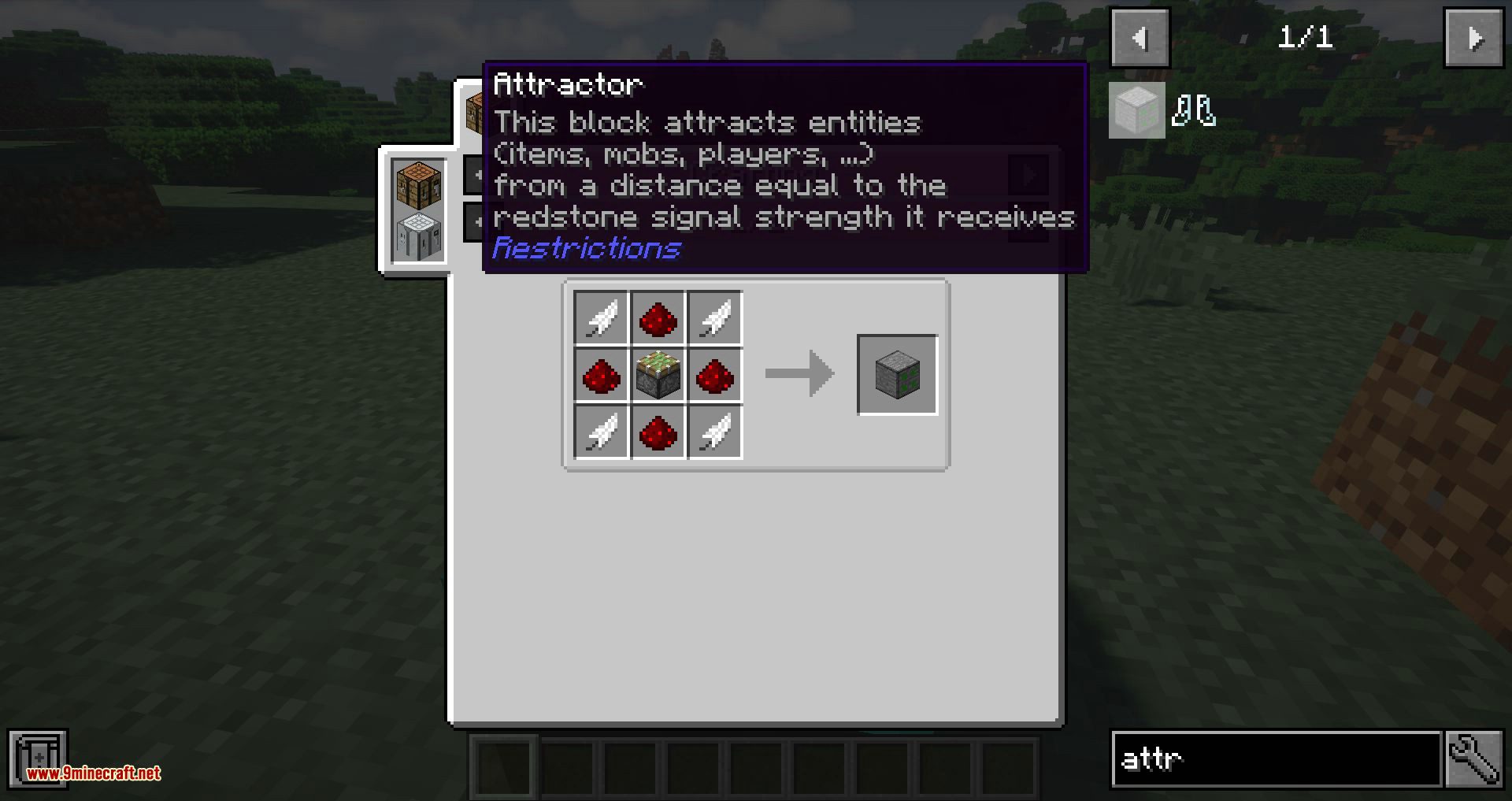 Restrictions mod for minecraft 09