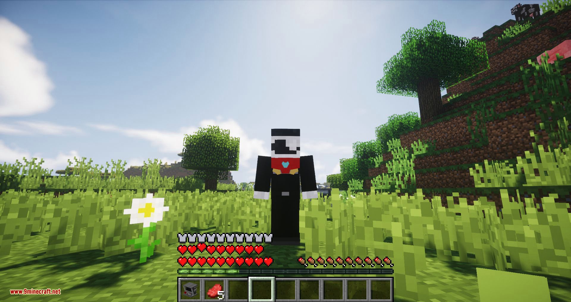 Typical Heroes mod for minecraft 09