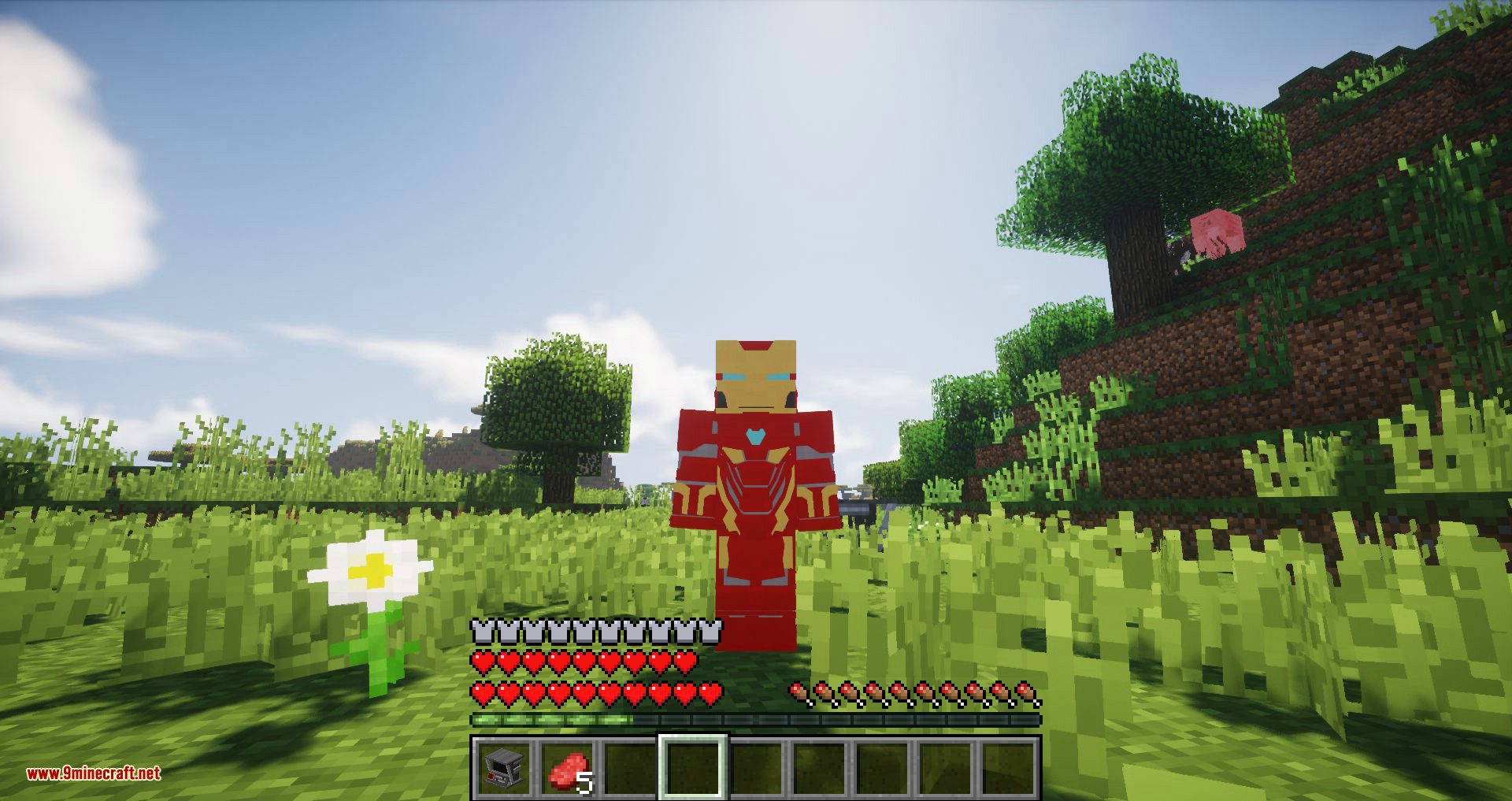 Typical Heroes mod for minecraft 11