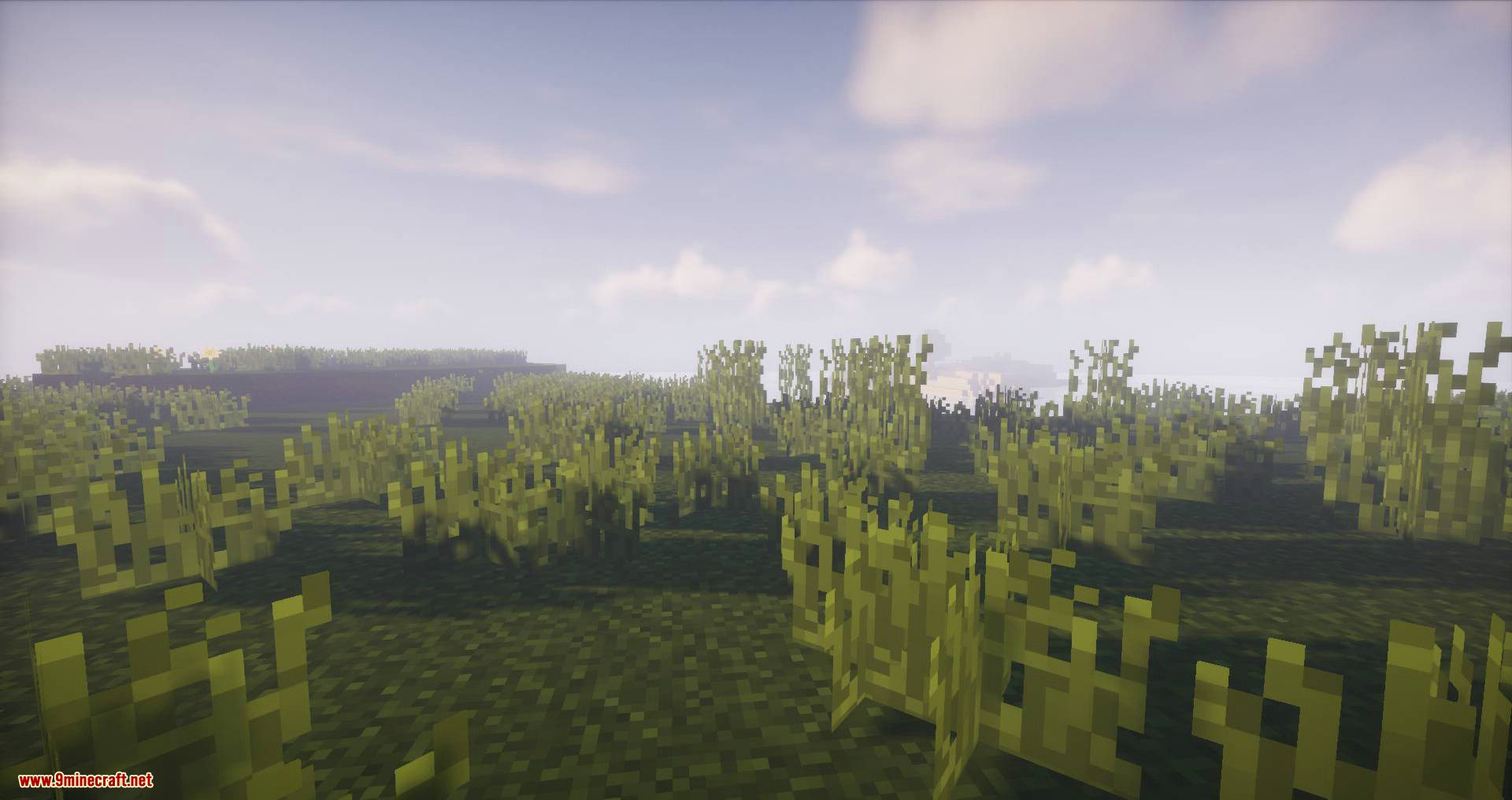 Biome Growth Controls mod for minecraft 02