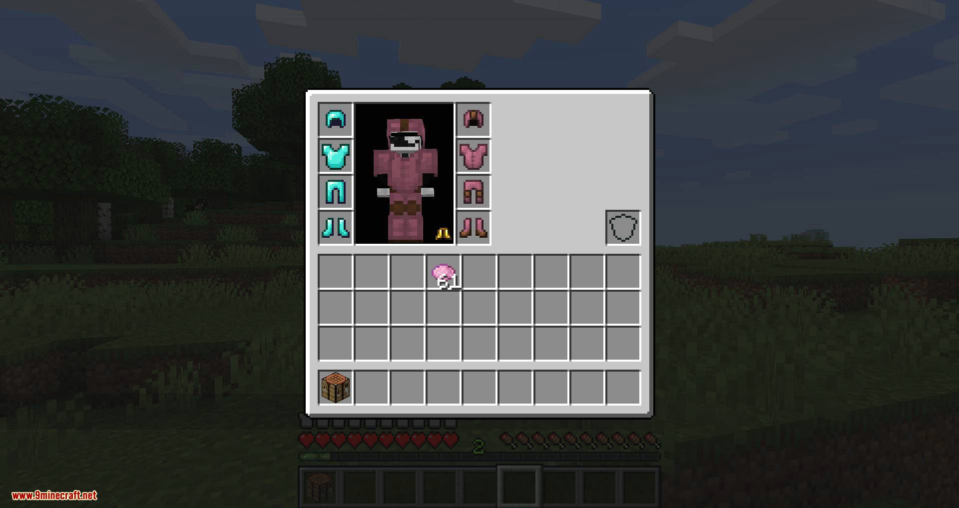 Cosmetic Armor Slots mod for minecraft 08
