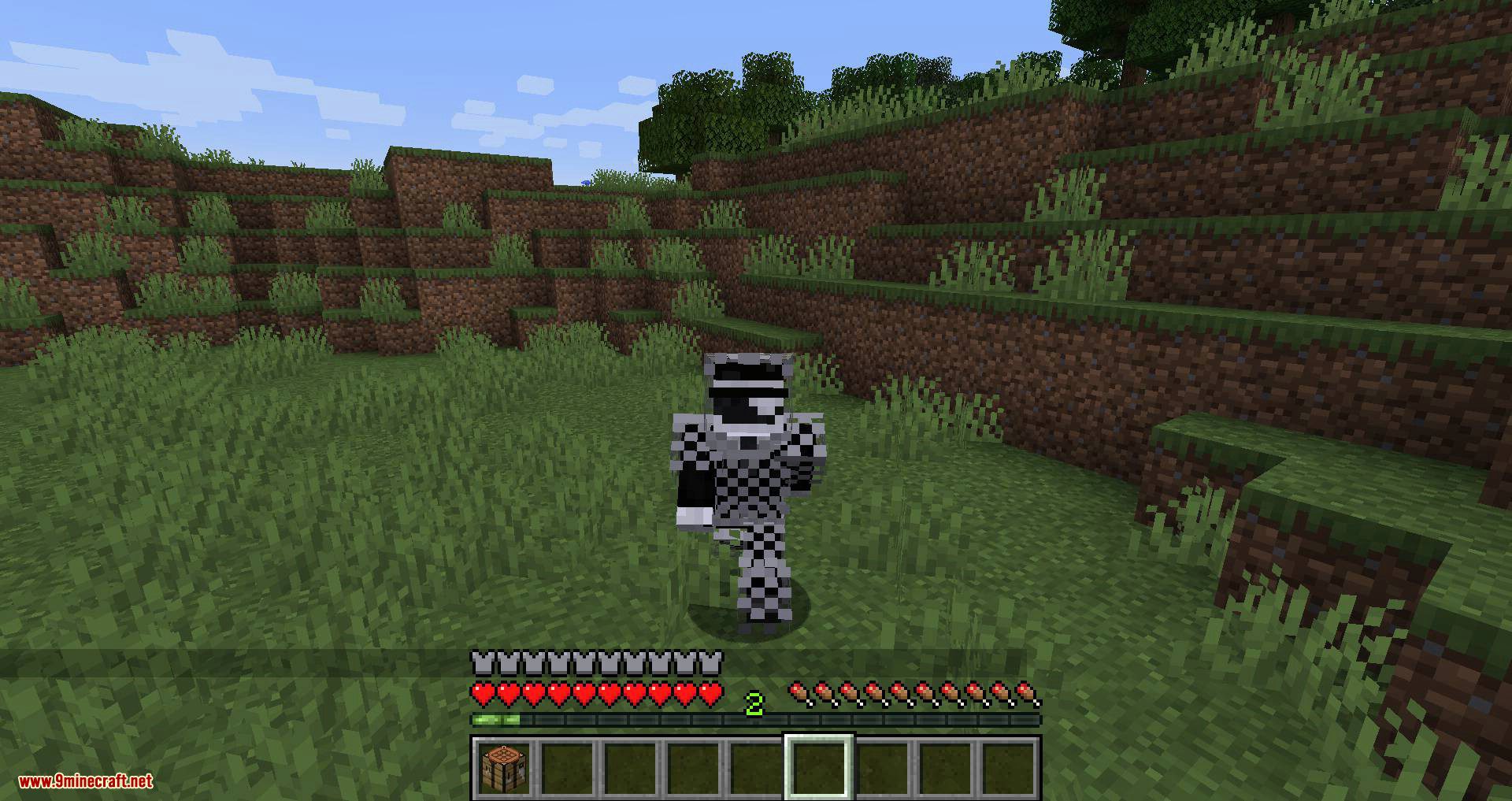 Cosmetic Armor Slots mod for minecraft 10