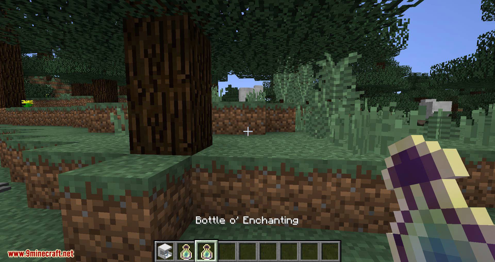 EXP Bottling mod for minecraft 06