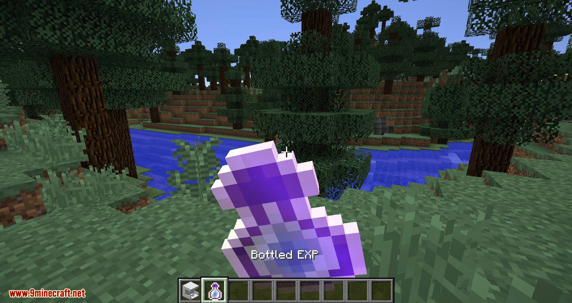 EXP Bottling mod for minecraft 08