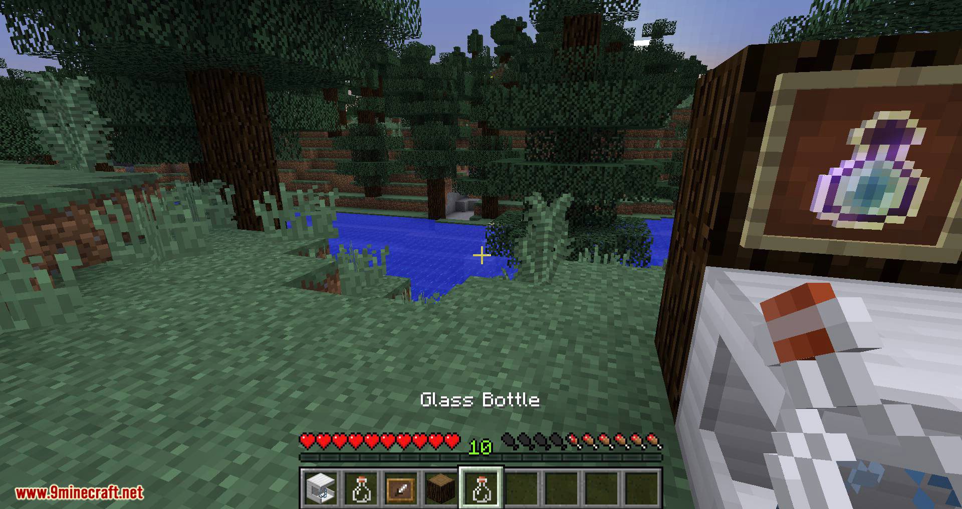 EXP Bottling mod for minecraft 12