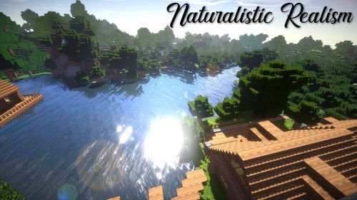 Naturalistic Realism Resource Pack