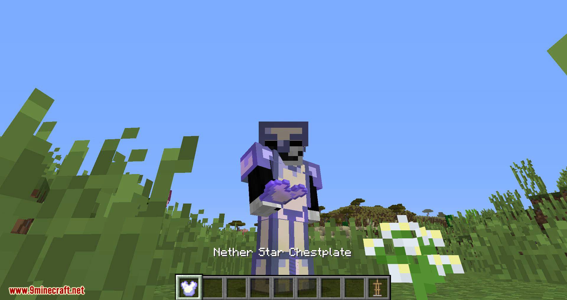 PattysMoreArmor mod for minecraft 09