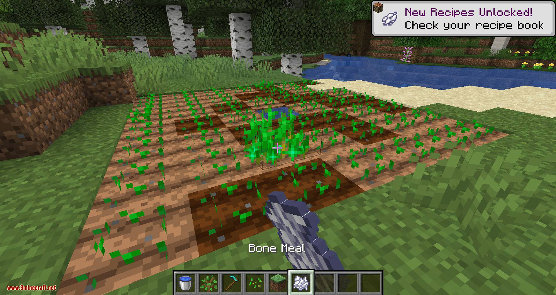 Ring of Growth mod for minecraft 07