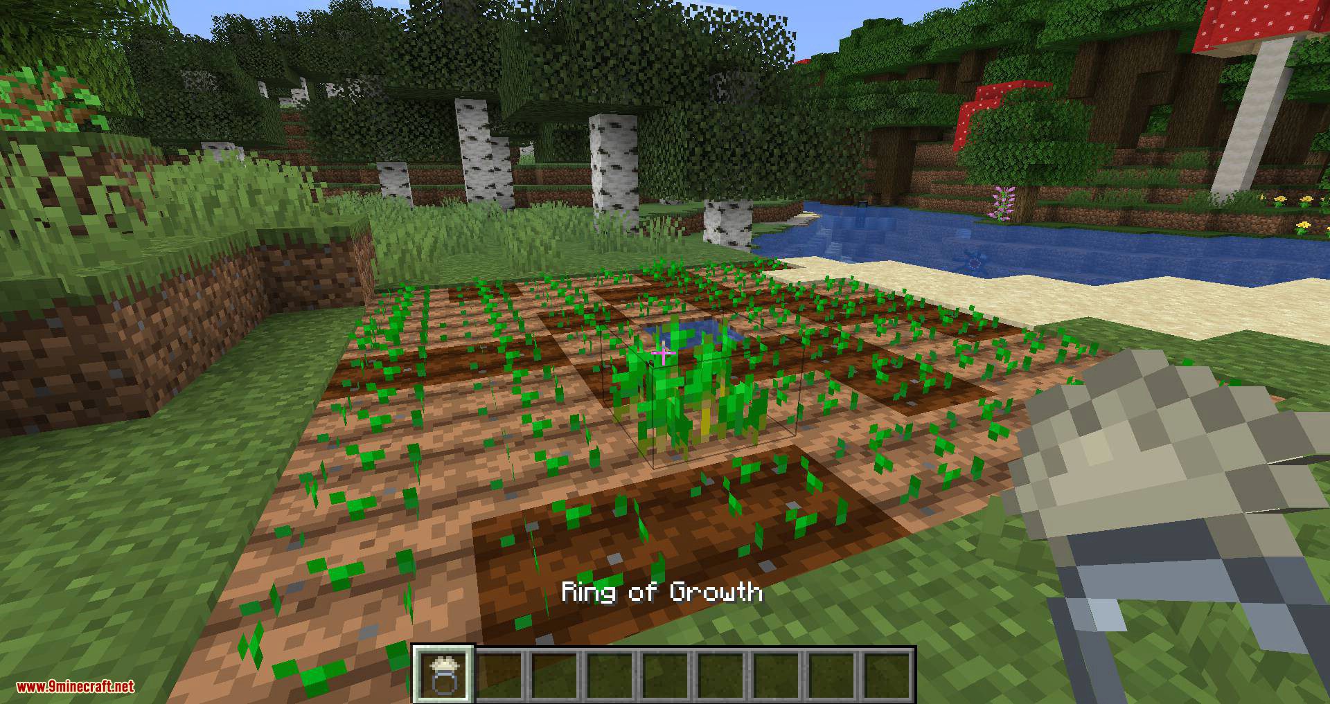 Ring of Growth mod for minecraft 08