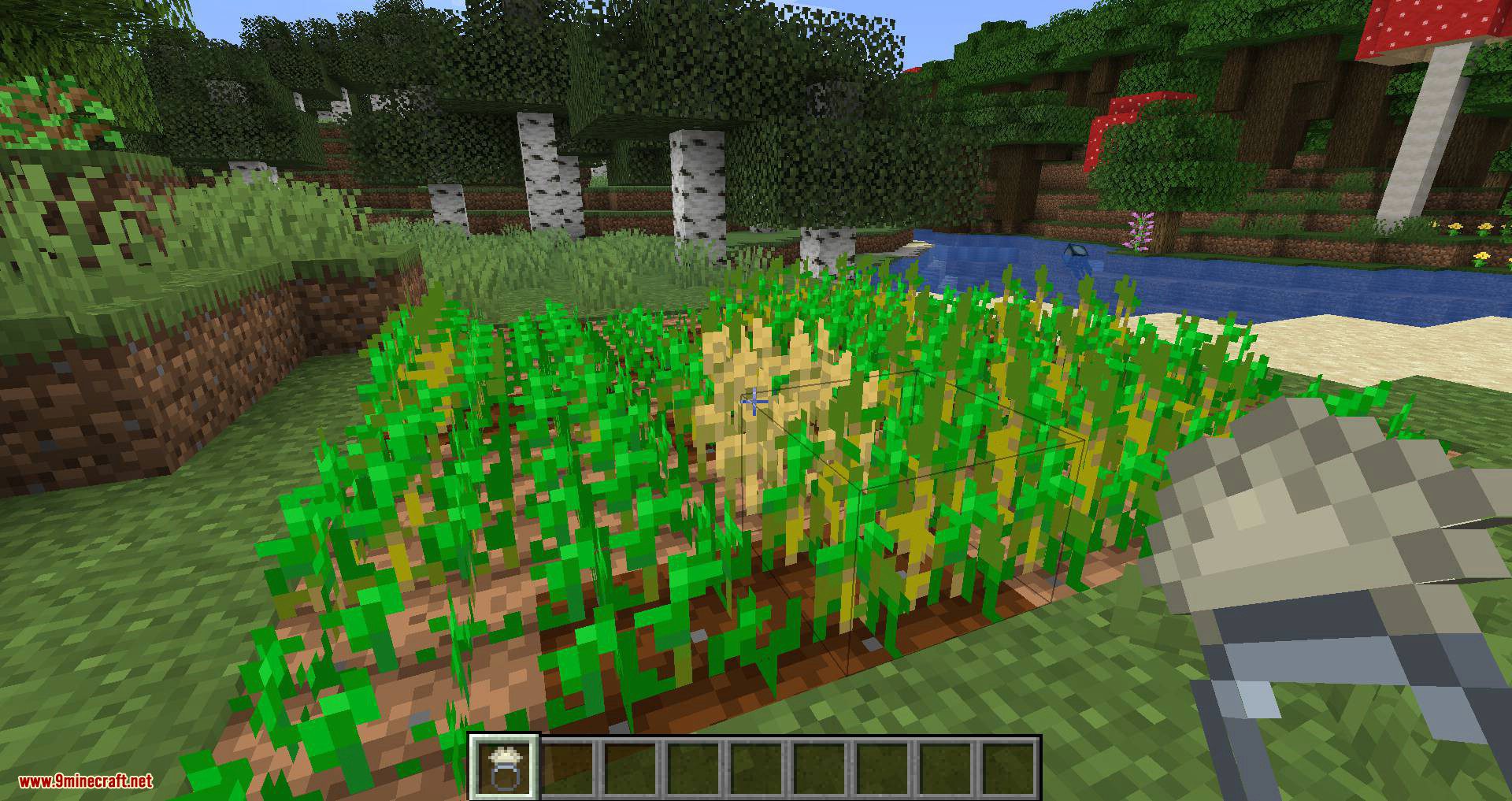 Ring of Growth mod for minecraft 09