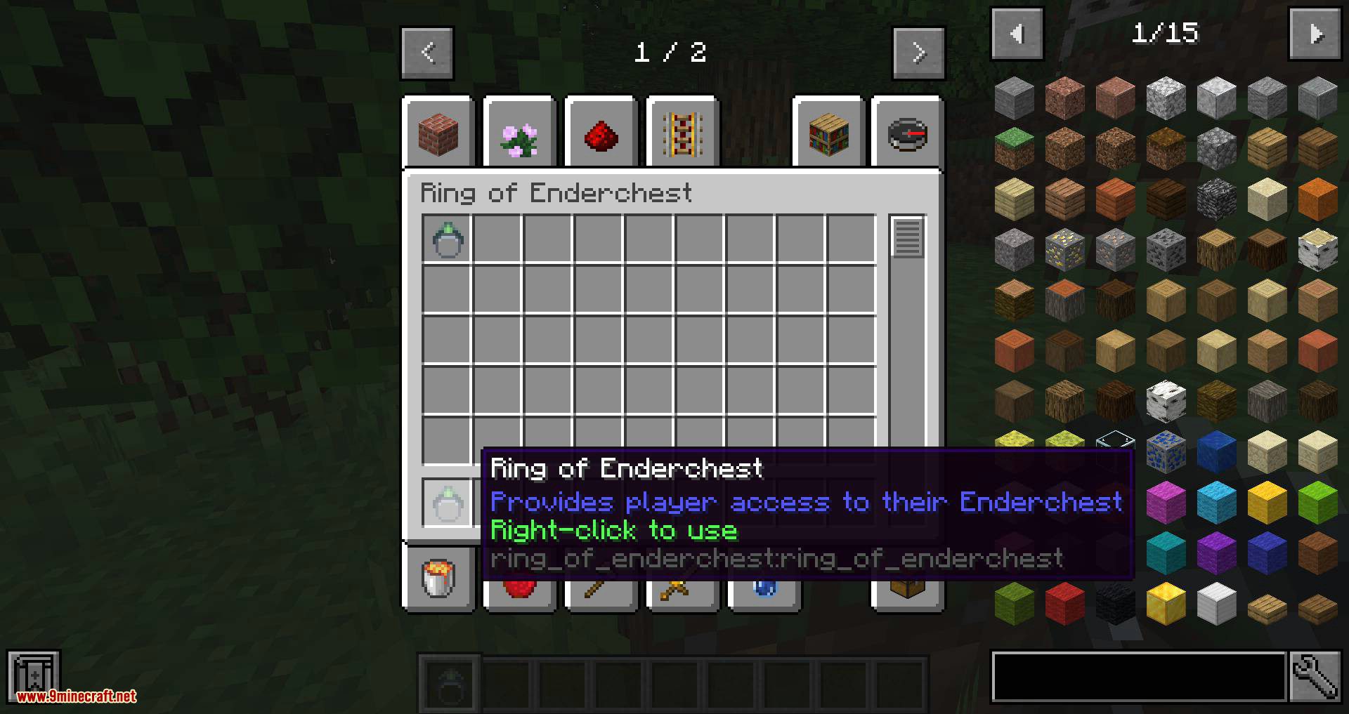 Ring of the Enderchest mod for minecraft 02