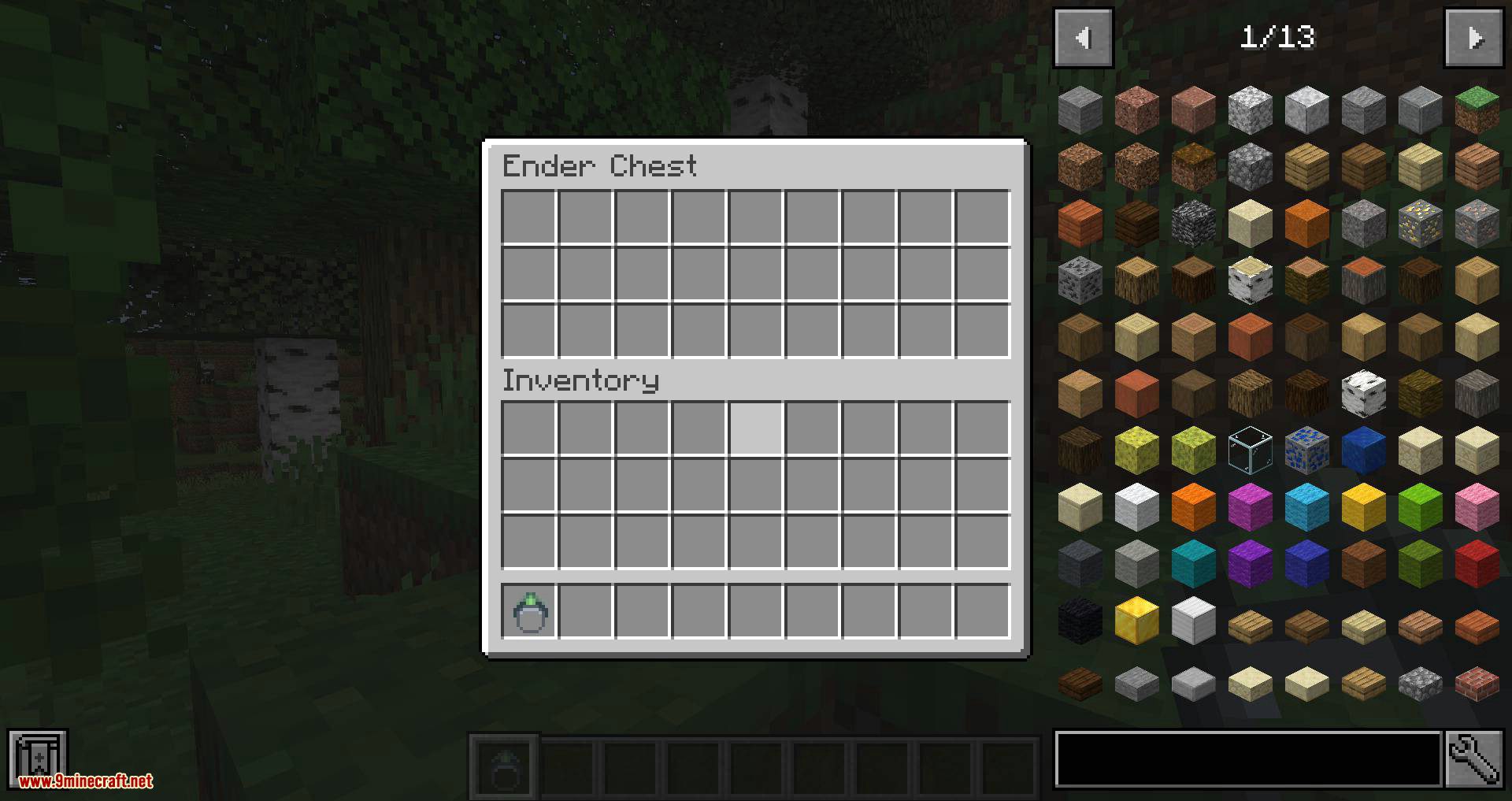 Ring of the Enderchest mod for minecraft 03