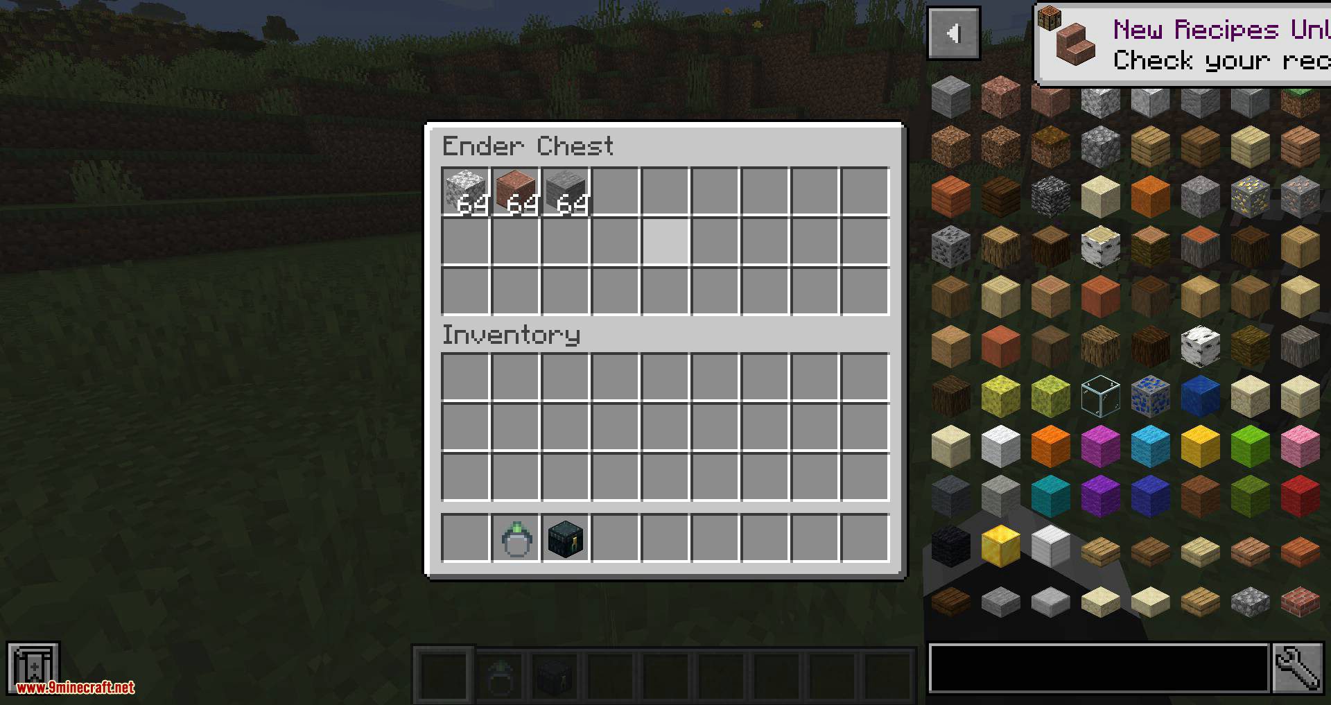 Ring of the Enderchest mod for minecraft 05