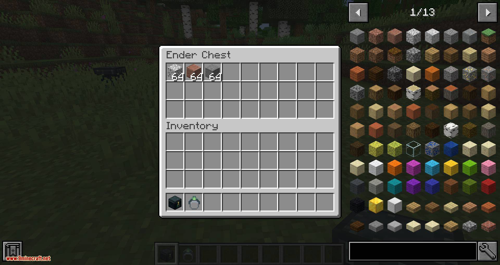 Ring of the Enderchest mod for minecraft 06