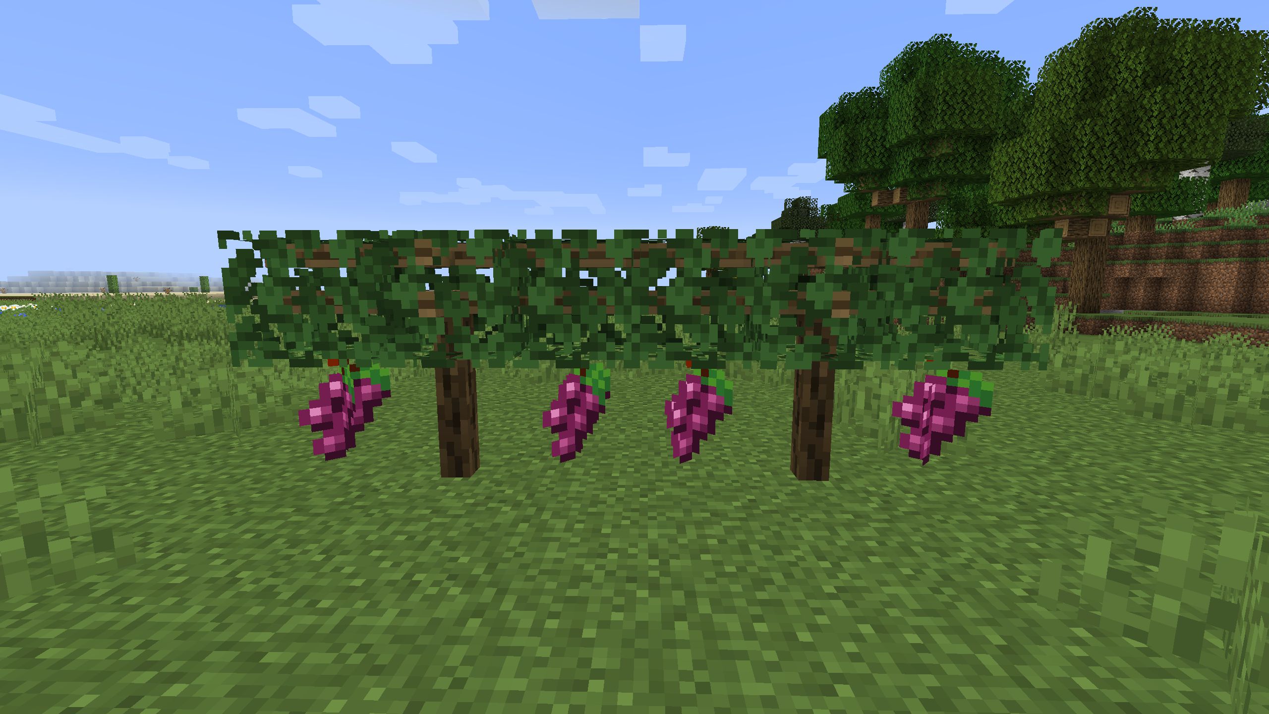 Simple Farming mod for minecraft 23