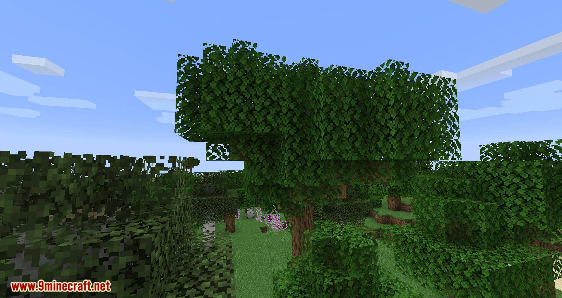 Bird Nests and Treasures mod for minecraft 01