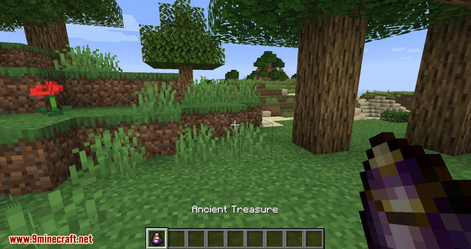 Bird Nests and Treasures mod for minecraft 07