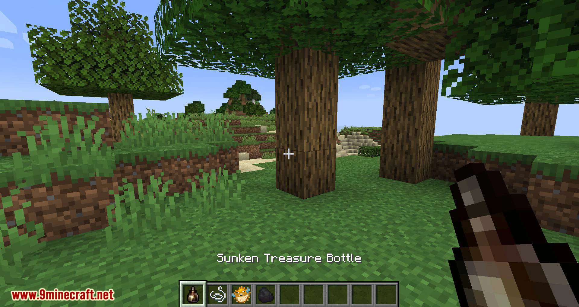 Bird Nests and Treasures mod for minecraft 10