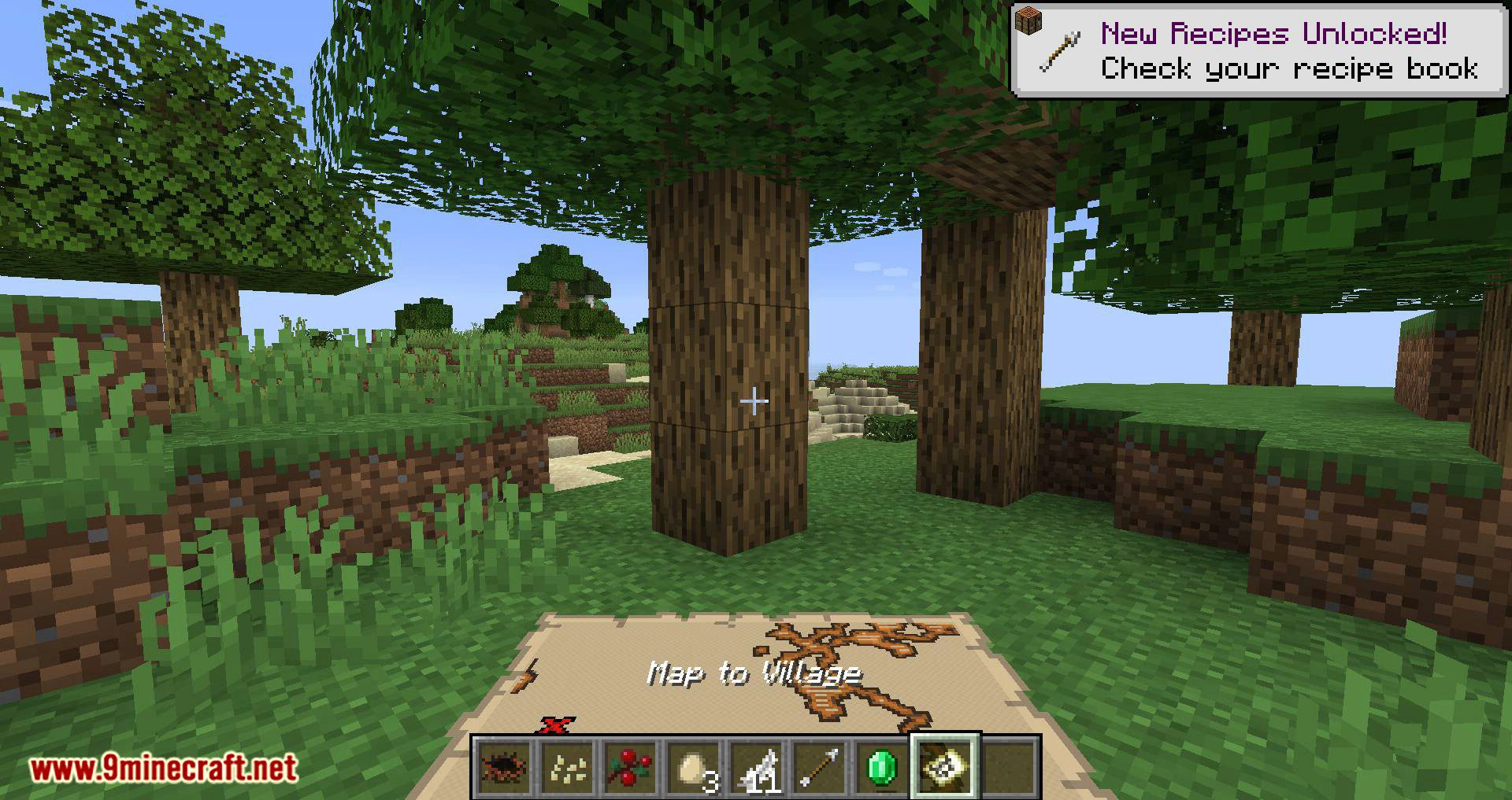 Bird Nests and Treasures mod for minecraft 11