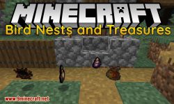 Bird Nests and Treasures mod for minecraft logo