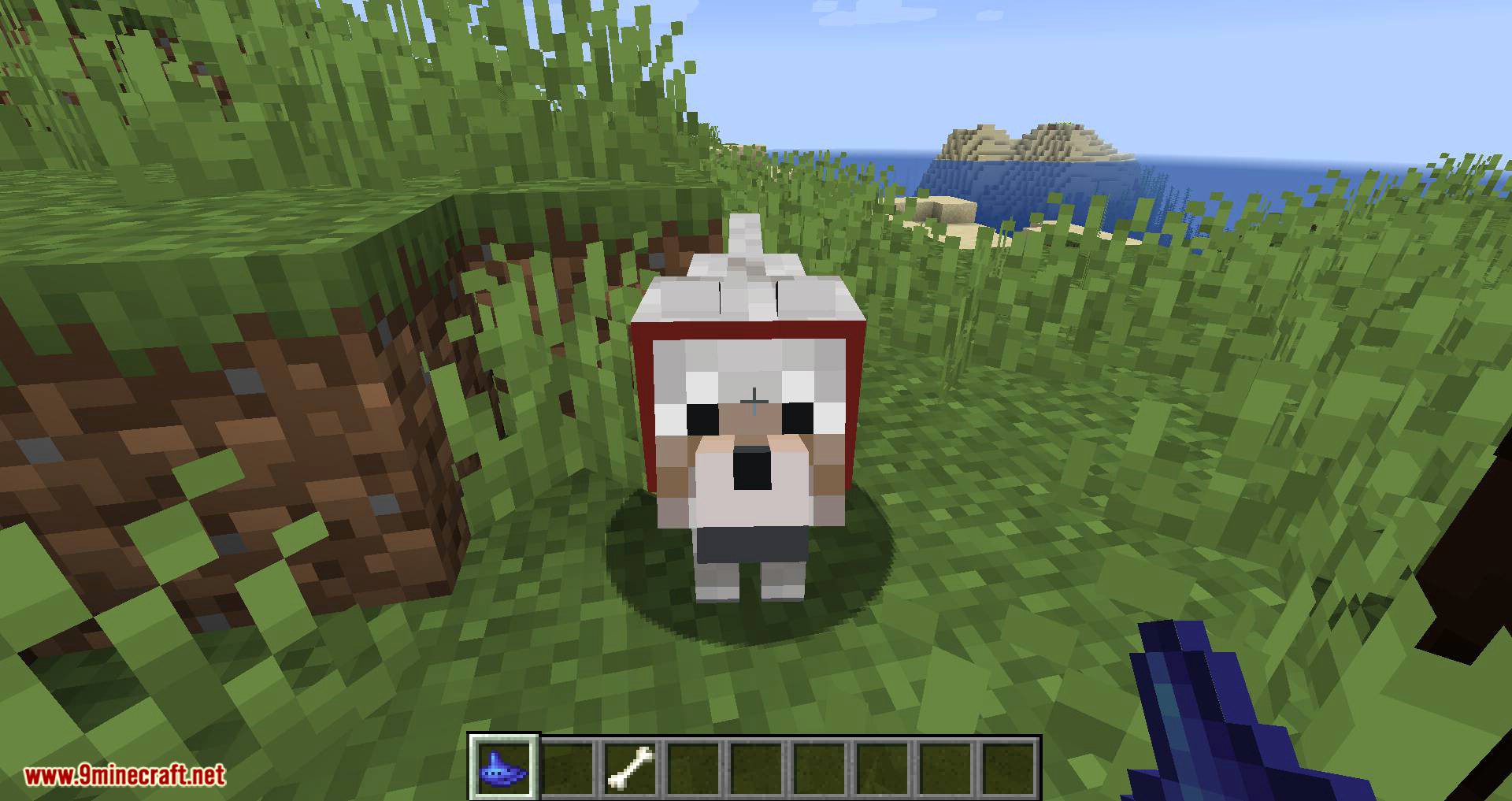 Dude Where_s My Horse mod for minecraft 13
