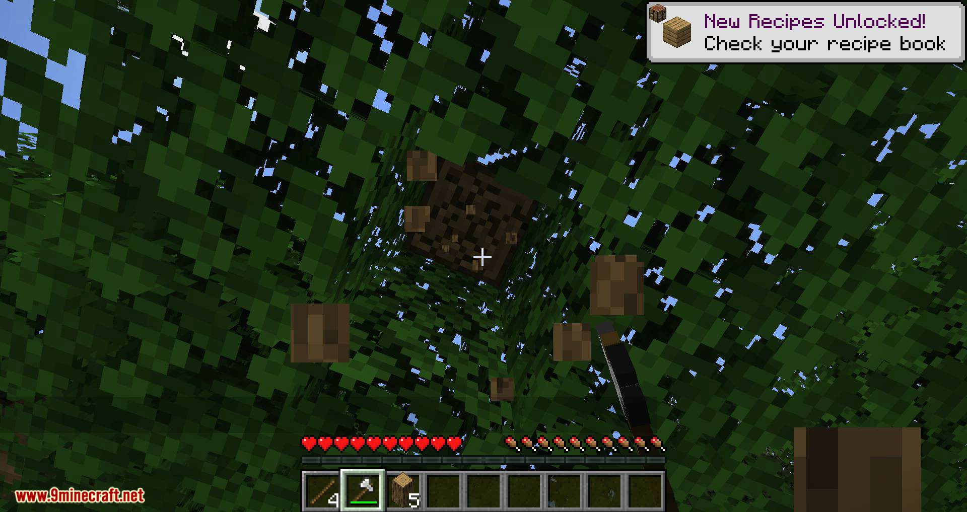 Leaf Decay mod for minecraft 04