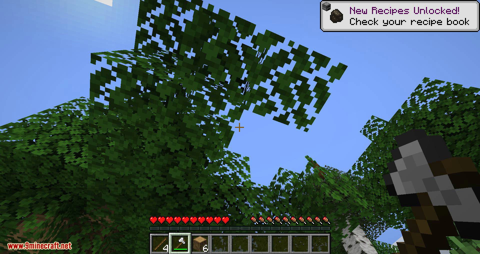 Leaf Decay mod for minecraft 05