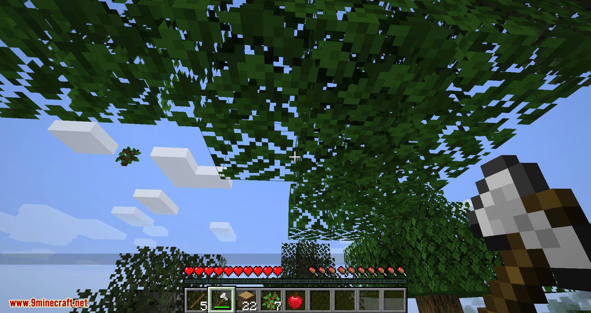 Leaf Decay mod for minecraft 07