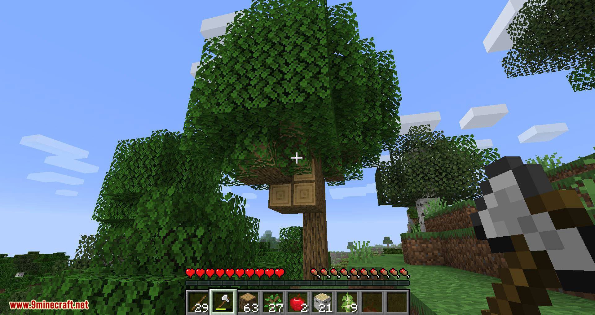 Leaf Decay mod for minecraft 09